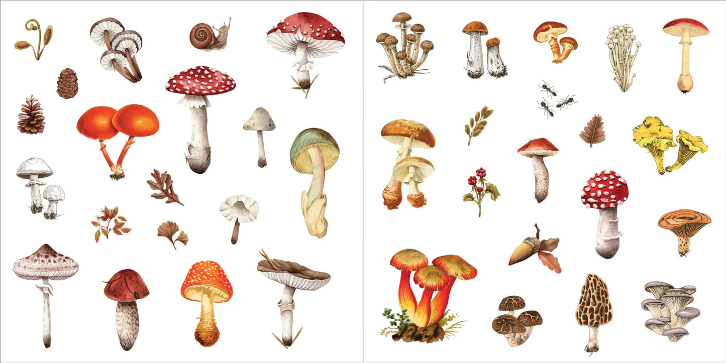 Sticker Book | BUNCHES OF BOTANICALS #338341-2
