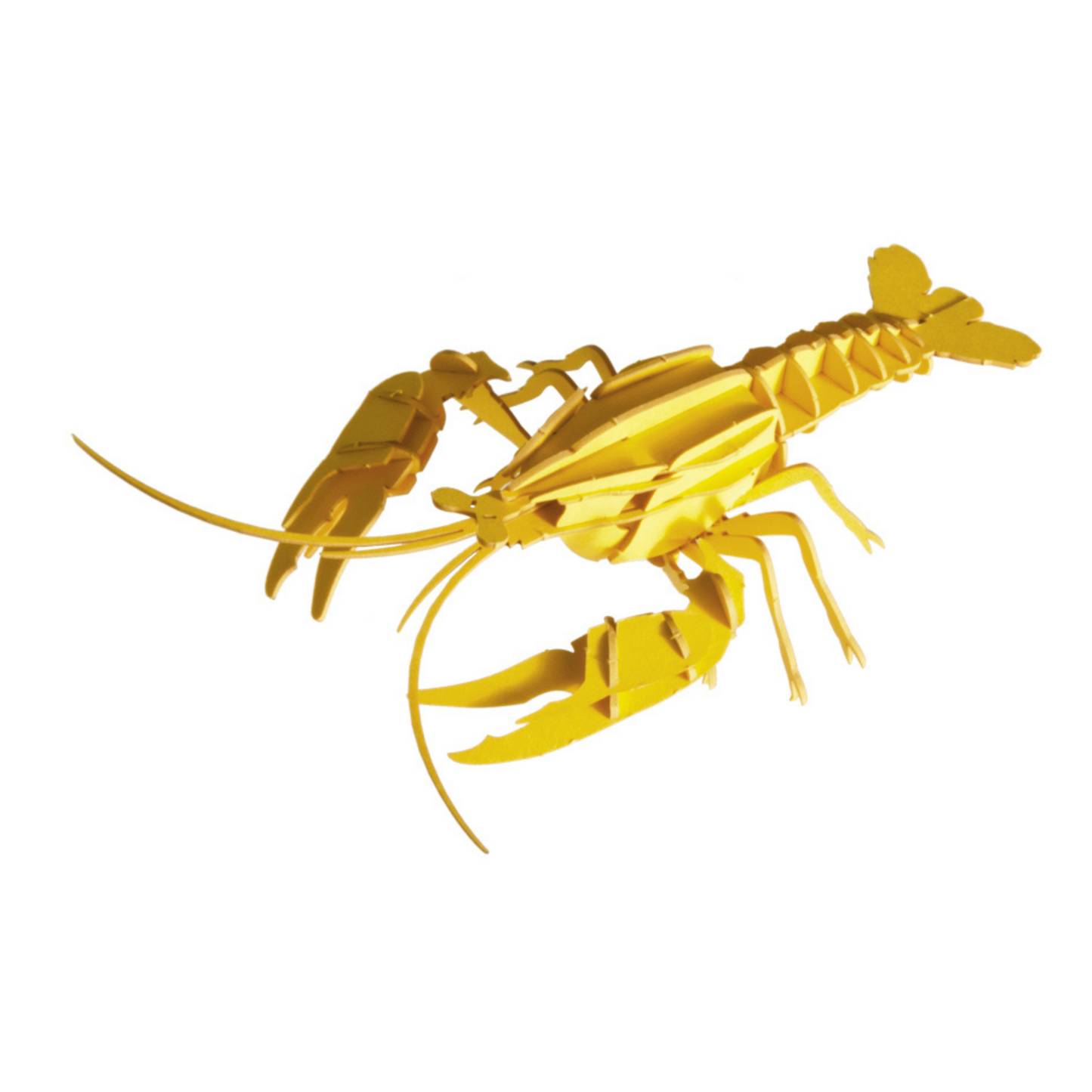 Fridolin | 3D Paper Model - LOBSTER #11629