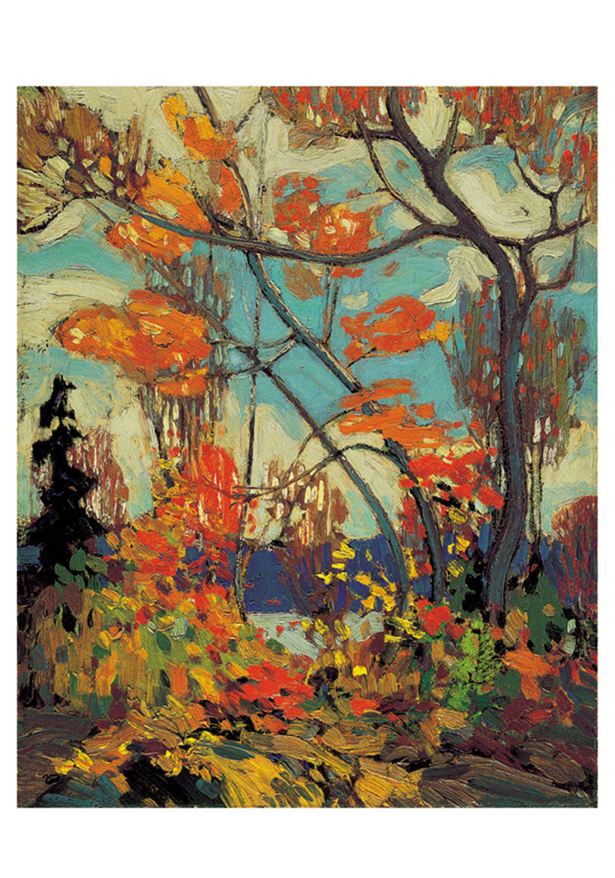 Boxed Note Cards | Tom Thomson #0381