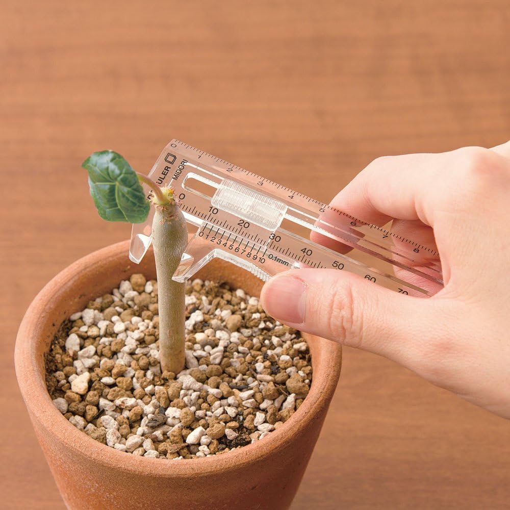 Accessory | Calipers - CLEAR