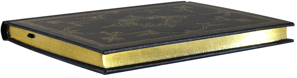 Lined Journal | Gilded Edges - OBSIDIAN #310583-2