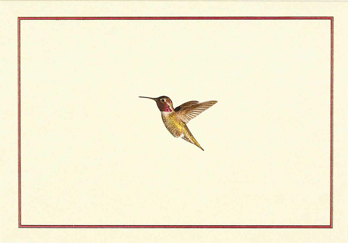 Boxed Note Cards | HUMMINGBIRD #316639-2