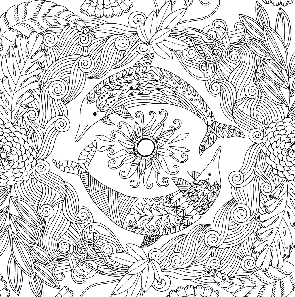 Colouring Book | Adult - FOLLOW DREAMS #320094-2