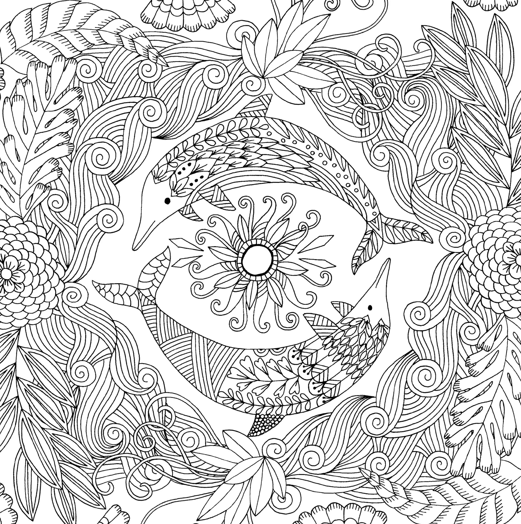 Colouring Book | Adult - FOLLOW DREAMS #320094-2