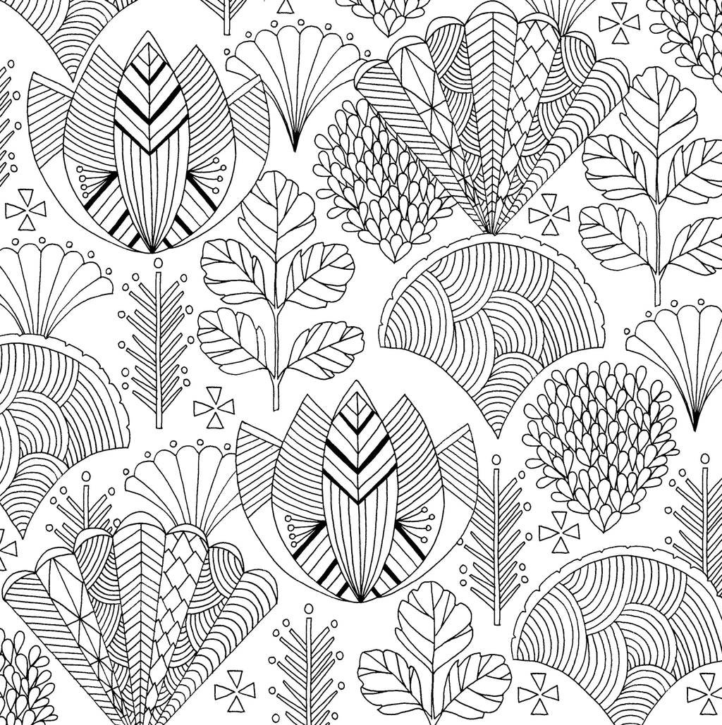 Colouring Book | Adult - FOLLOW DREAMS #320094-2