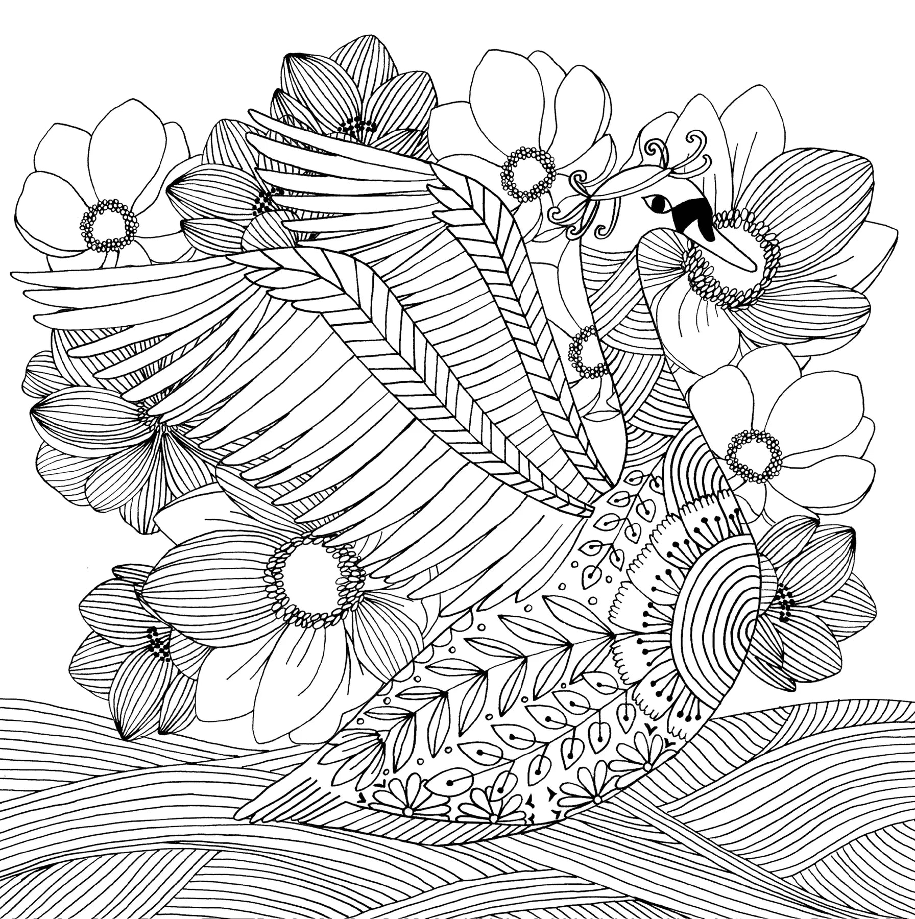 Colouring Book | Adult - FOLLOW DREAMS #320094-2