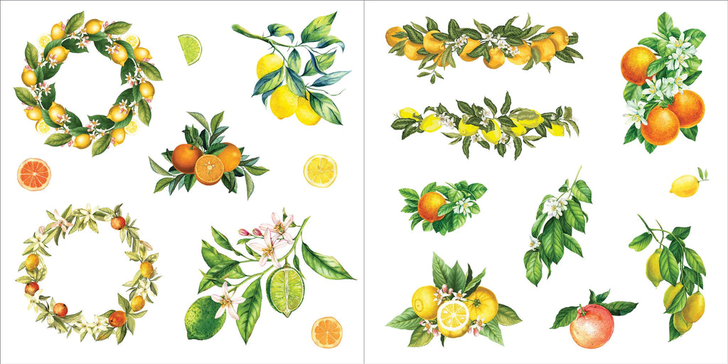 Sticker Book | BUNCHES OF BOTANICALS #338341-2