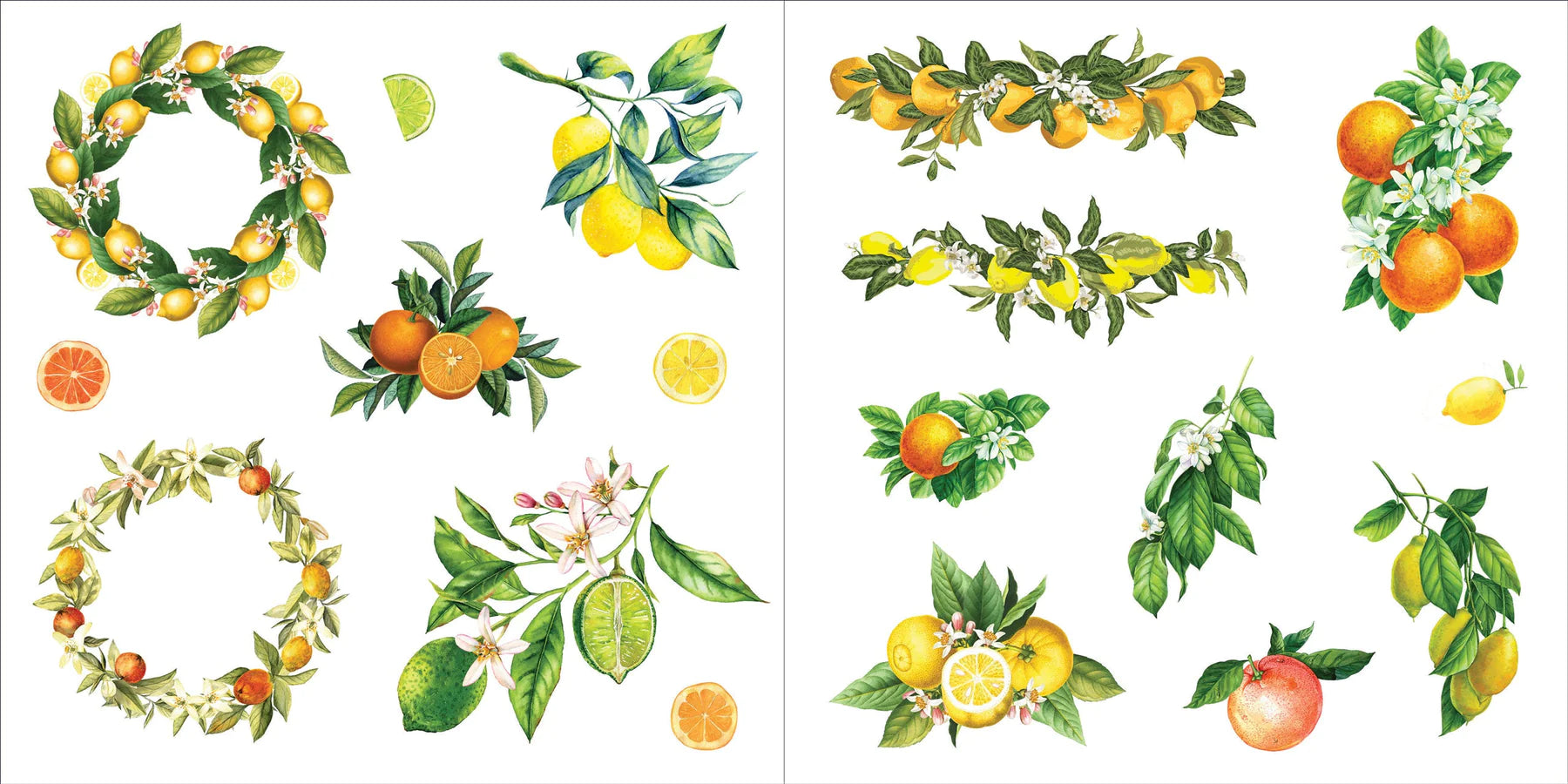 Sticker Book | BUNCHES OF BOTANICALS #338341-2
