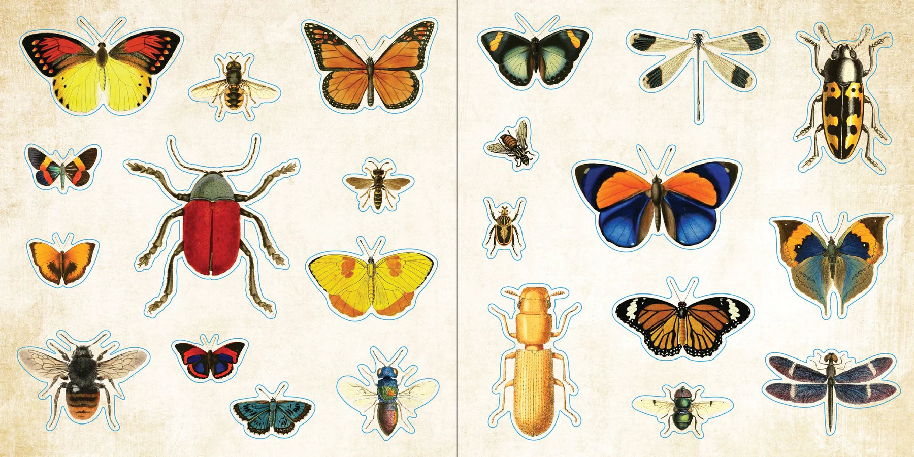 Sticker Book | EPHEMERA #338358-2