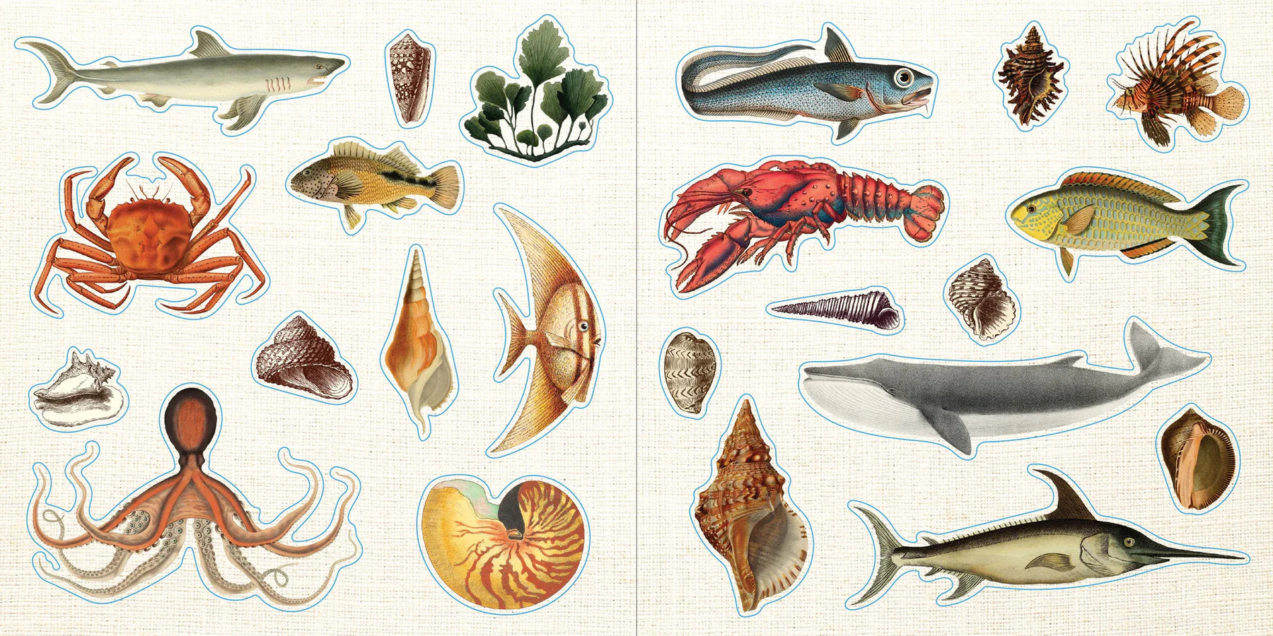Sticker Book | EPHEMERA #338358-2
