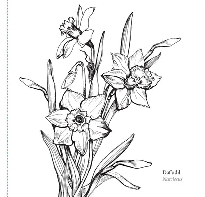 Colouring Book | ADULT-SPRNG BLOOMS #340139-2