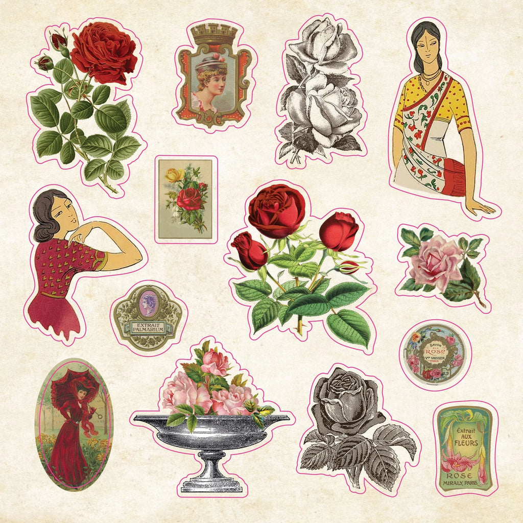 Sticker Book | CURIOSITIES #342072-2