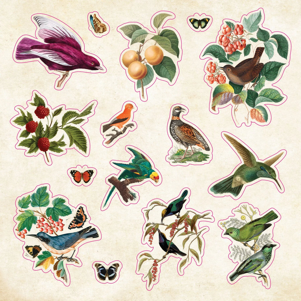 Sticker Book | CURIOSITIES #342072-2