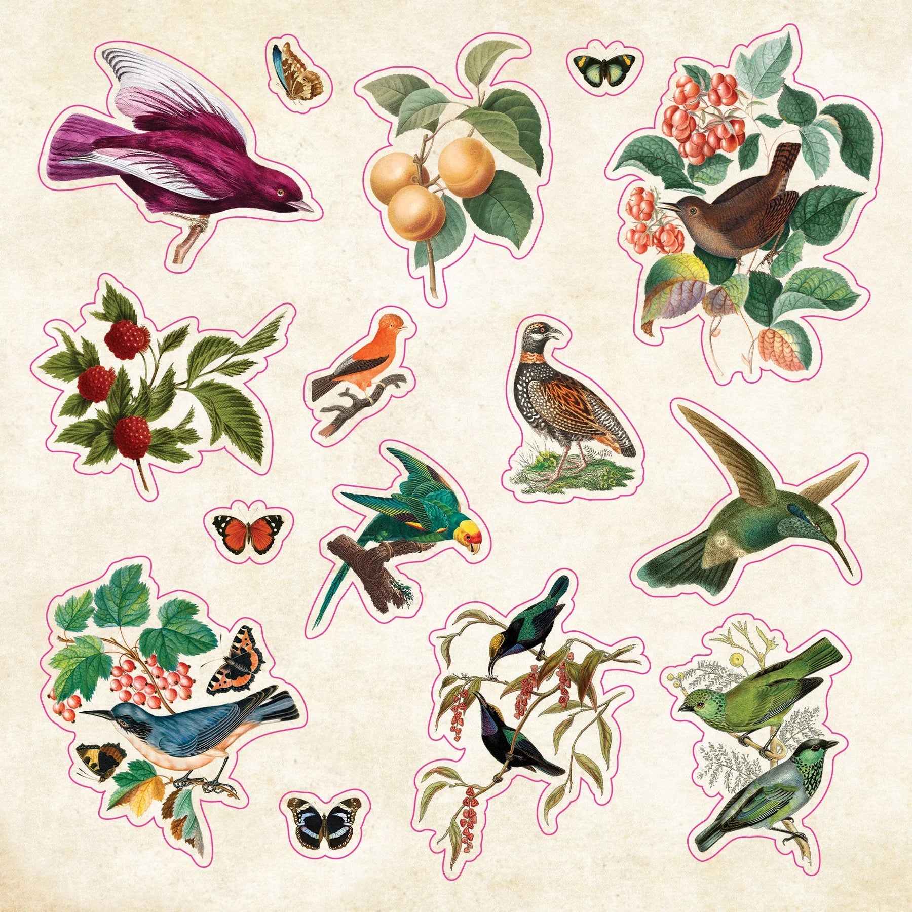 Sticker Book | CURIOSITIES #342072-2