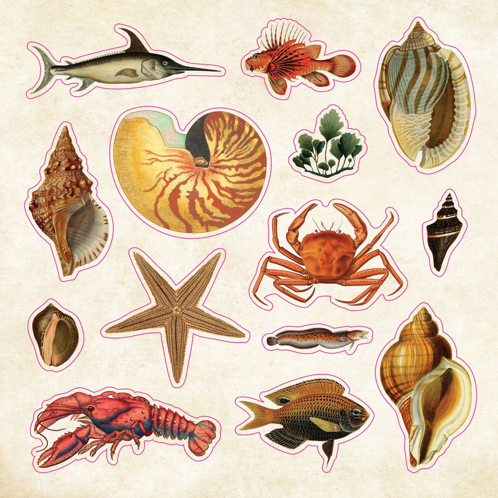 Sticker Book | CURIOSITIES #342072-2