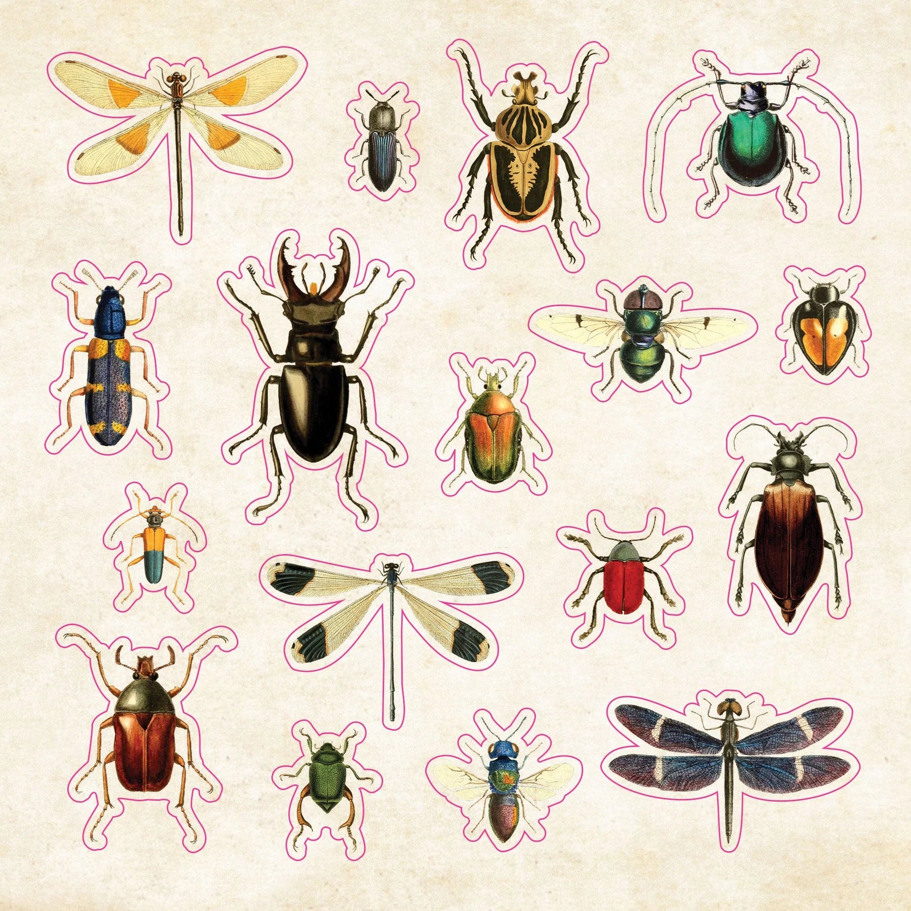 Sticker Book | CURIOSITIES #342072-2