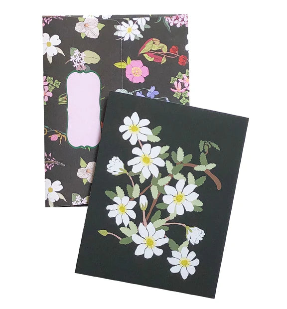 Blank Card | Flower Emblem (Northwest Territories) - MOUNTAIN AVENS #ACGC0195