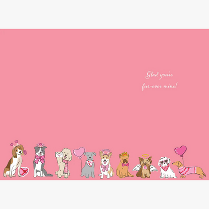 Valentine's Card | DOGS #VDT40126601