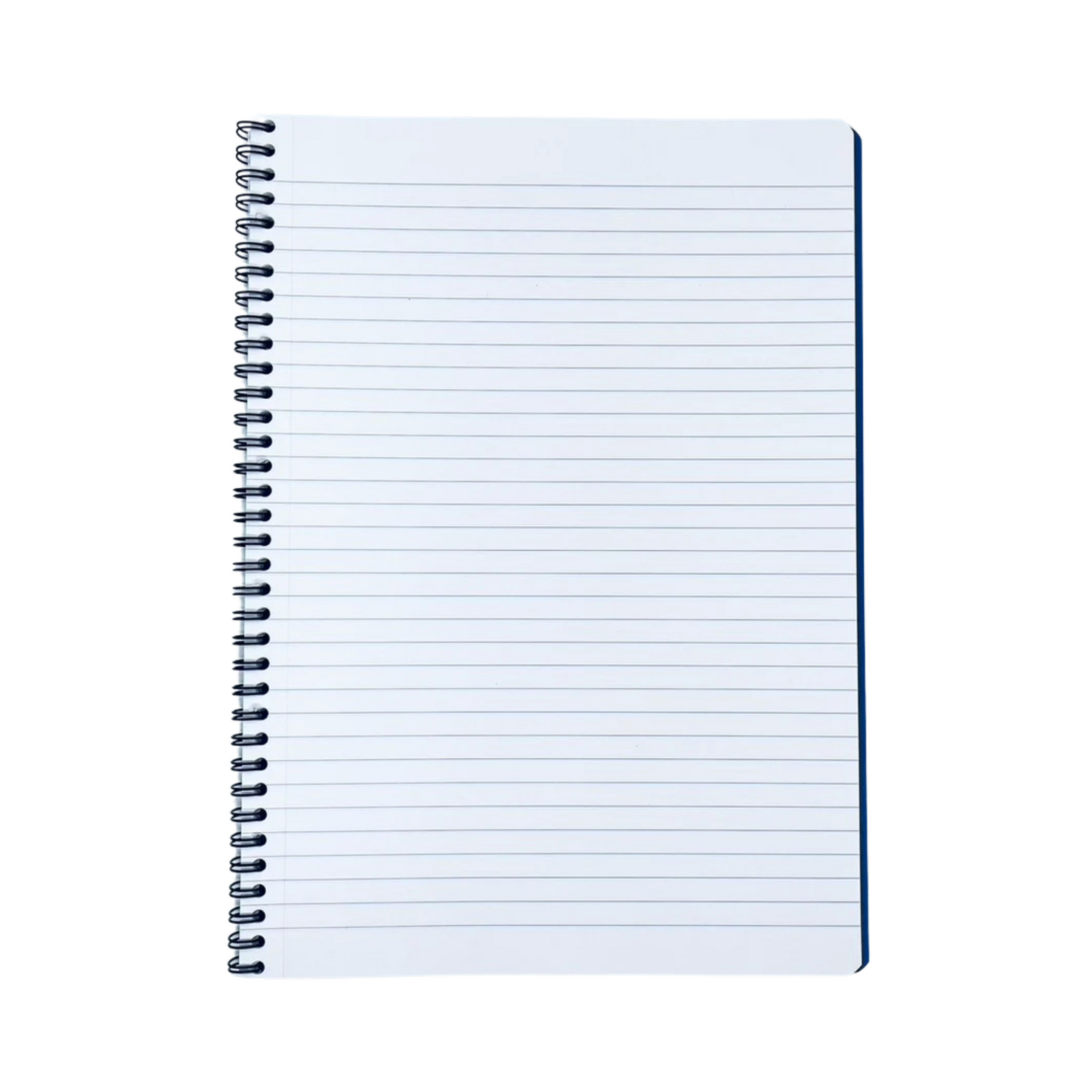 Lined Notebook | A4 Europa Coiled Notebook - BLUE #4865Z