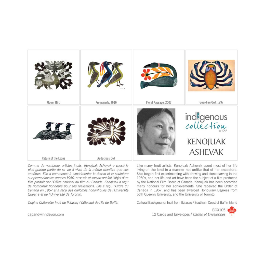 Boxed Note Cards | Pack of 12 - KENOJUAK ASHEVAK #BOX105