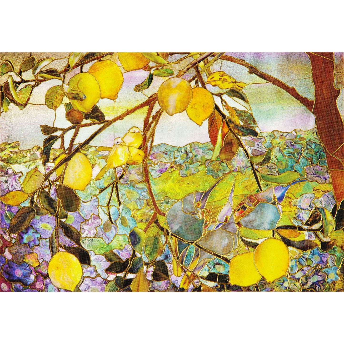 Boxed Note Card | TIFFANY LEMON TREE #339621-2