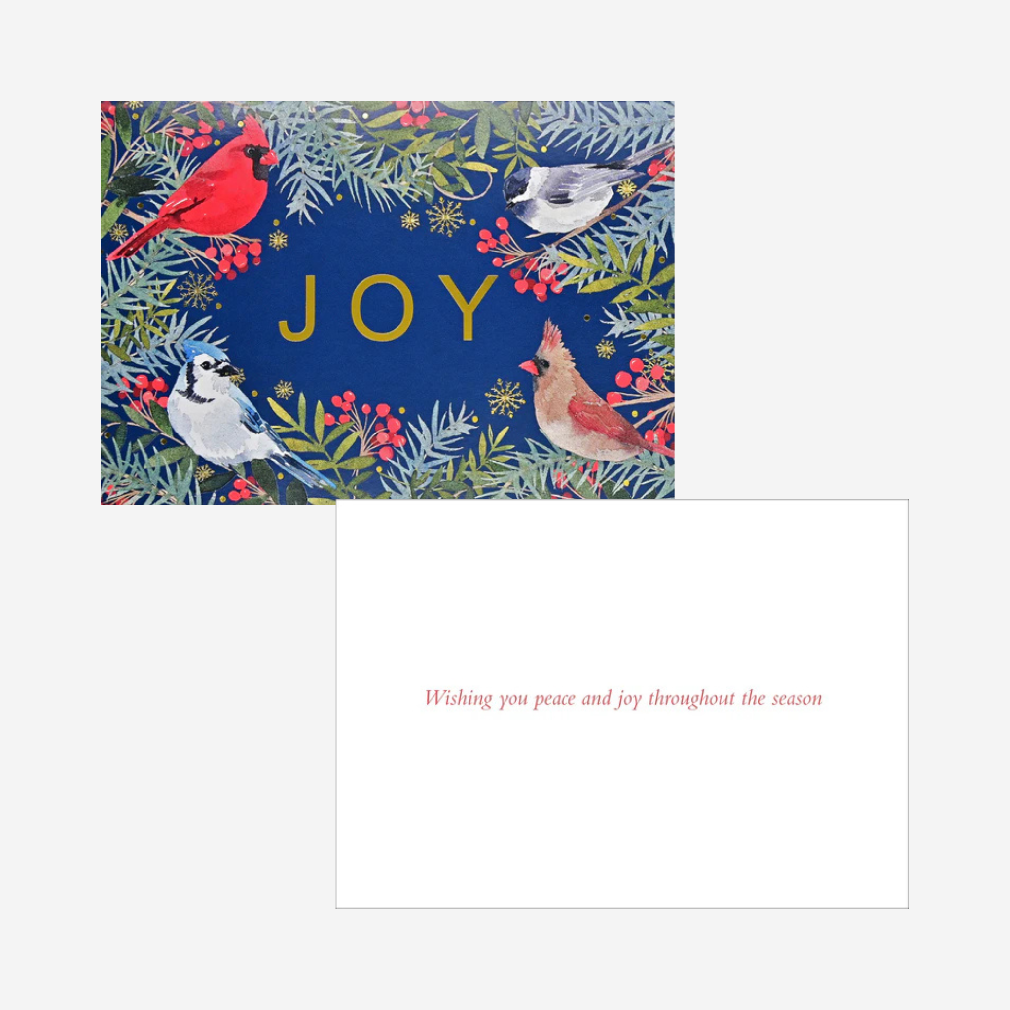 Christmas Boxed Cards | WISHES OF JOY #343307-2