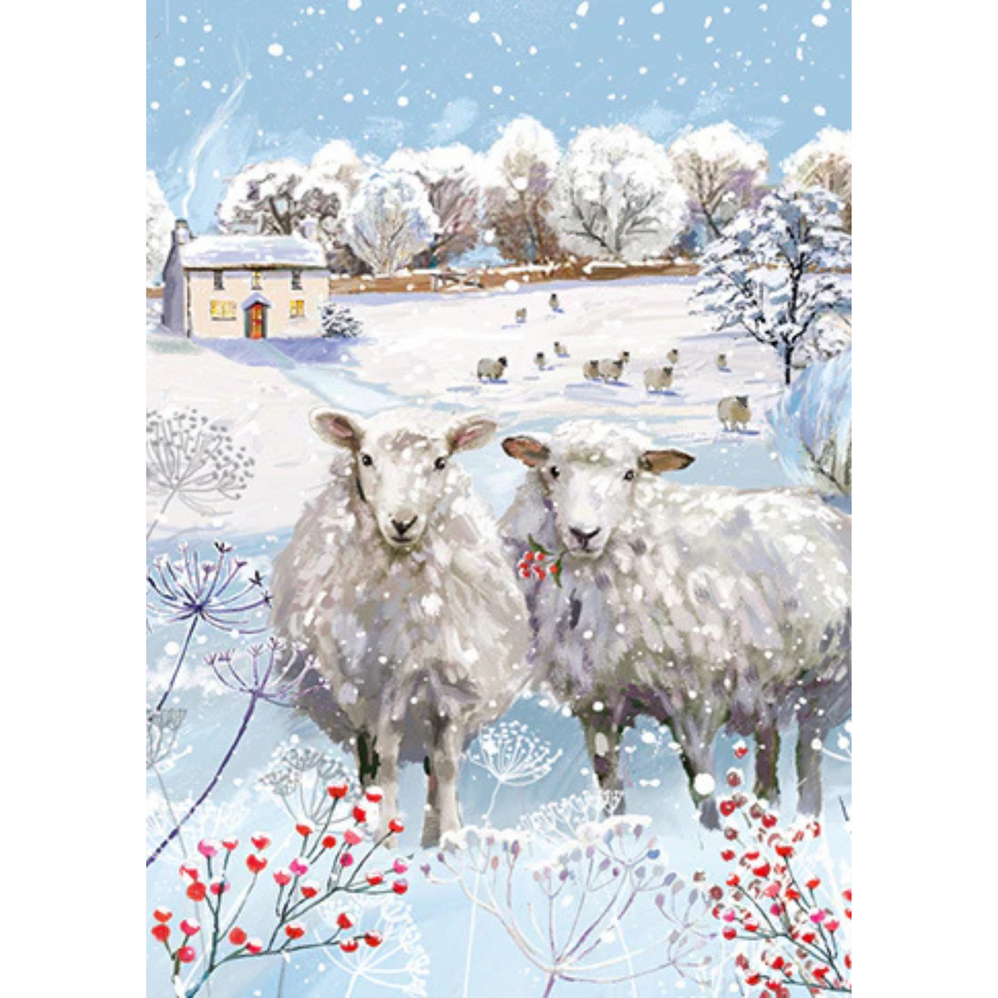 Christmas Boxed Cards | Assortment - WINTER WILDLIFE #LXBV001