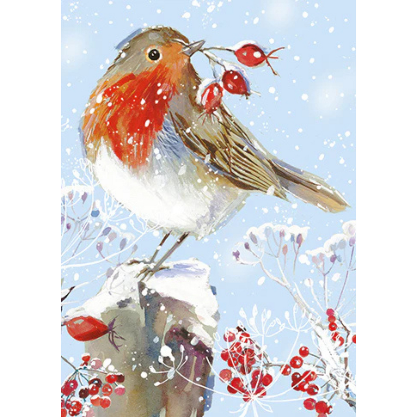 Christmas Boxed Cards | Assortment - WINTER WILDLIFE #LXBV001