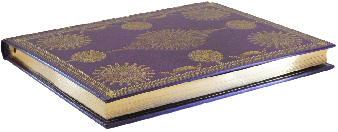 Lined Journal | Large - VERSAILLES