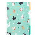 Accessory | A4 3 Pocket File Folder - CATS #35479-006