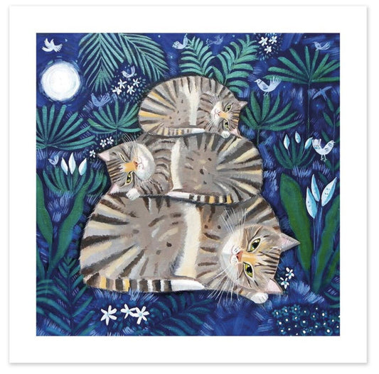 Blank Card | Mary Stubberfield: Moonlight Cat Nap #MEZ10