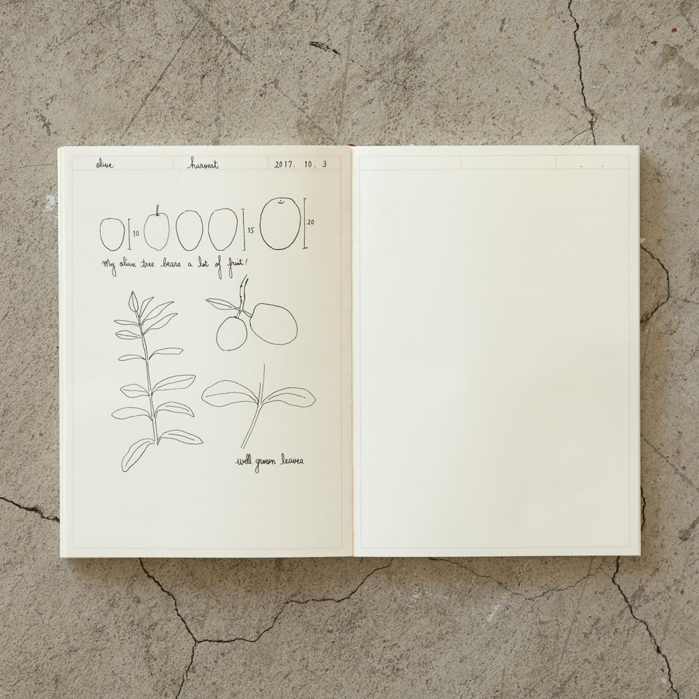 MD Notebook | A5 - Frame #15309-006