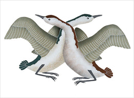 Postcard Book | Inuit Art Birds #AA203