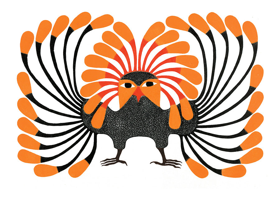 Boxed Note Cards | Cape Dorset - OWLS ASSORTMENT #0411-1